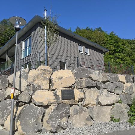 Ferienhaus Schieferterrasse - Waldsee Rieden - Zewnętrze zdjęcie
